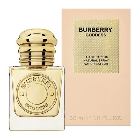 parfum burberry femme pas cher|parfum burberry for women.